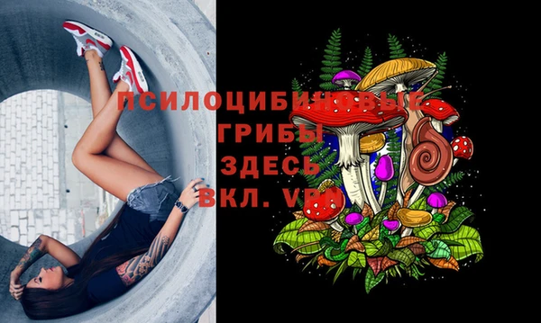 бутират Бугульма
