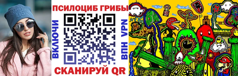 Псилоцибиновые грибы Cubensis  Верея 